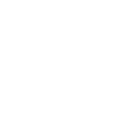 Acier Icon