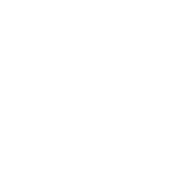 Cuivre Icon