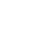 Inox Icon